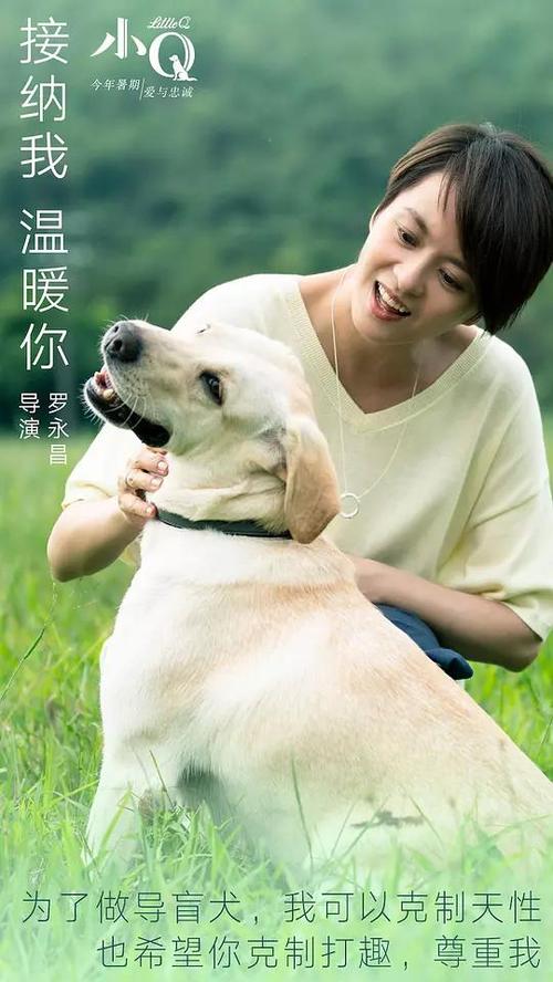 卡斯蒂利亚-拉曼恰大学本科毕业证